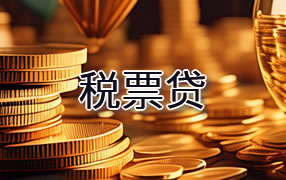 拉萨税票贷